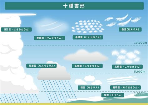 雲層種類|雲的分類：新手指南